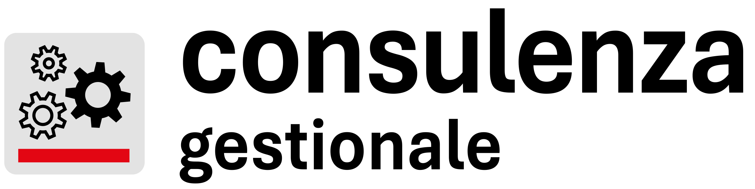Consulenza Gestionale